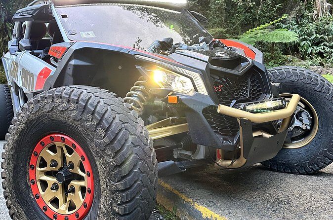 3-Hour Private UTV Tour in San Juan - Price and Logistics: Is $389 a Good Value?