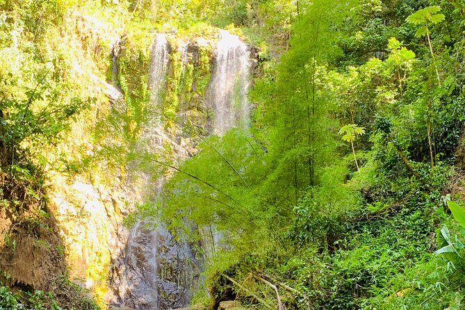 Adventure to a Hidden Waterfall, Private Tour - What the up-river hike really feels like