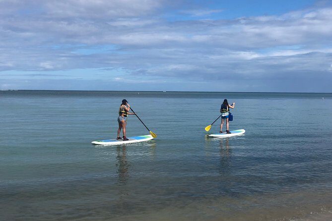 All-Day Paddleboard Rental – Fajardo, Puerto Rico - Quick Key Points Before You Go