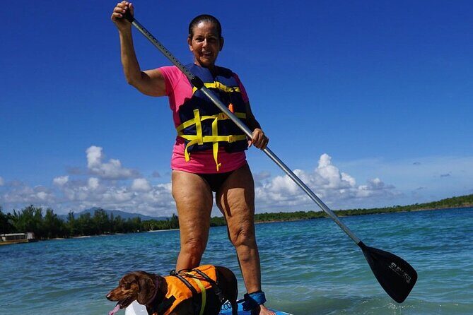 All-Day Paddleboard Rental – Fajardo, Puerto Rico - Mangroves and Calm Bays: Where Wildlife Shows Up at Human Speed