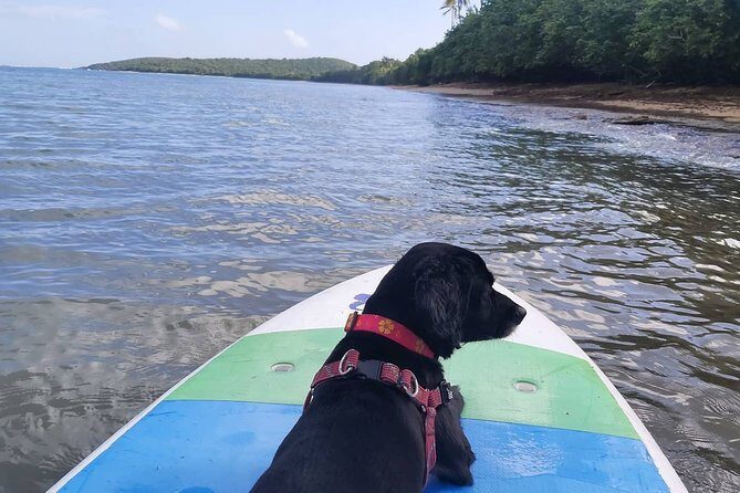 All-Day Paddleboard Rental – Fajardo, Puerto Rico - Paddling Time and Routes: Planning a Day Without Guesswork