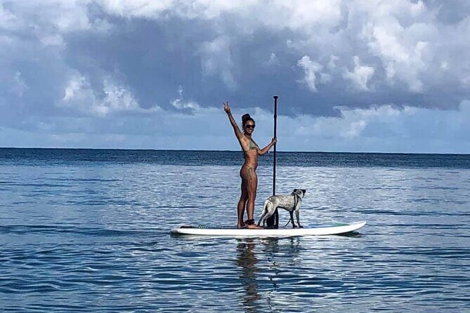 All-Day Paddleboard Rental – Fajardo, Puerto Rico - Price and Value: What $83 Gets You (Up to 2 People)