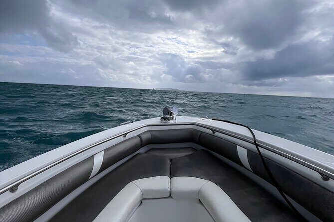 All-Inclusive Full-Day Private Boat Tour with Lunch & Drinks - Guided Snorkeling in Eastern Puerto Rico: Gear and Marine Life