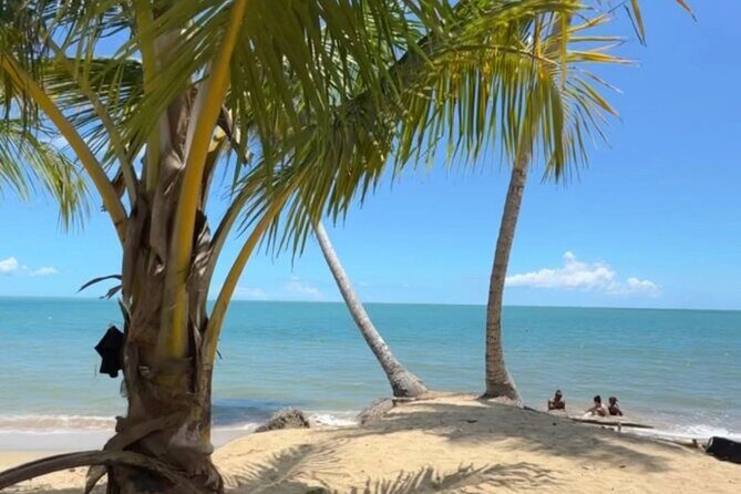 Añasco-Bunny Fever Adventure Experience - El Balneario de Añasco and the Bunny Spot: Bad Bunny culture in daylight