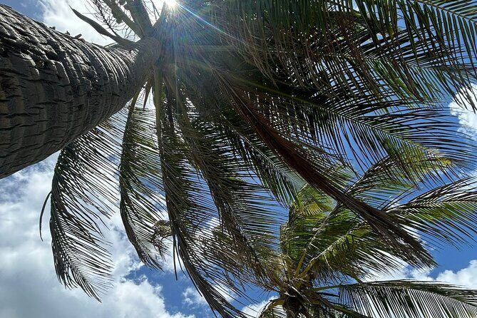 Beach Bliss Yoga in San Juan - What happens during the yoga class: breathwork, a unique sequence, and ocean air