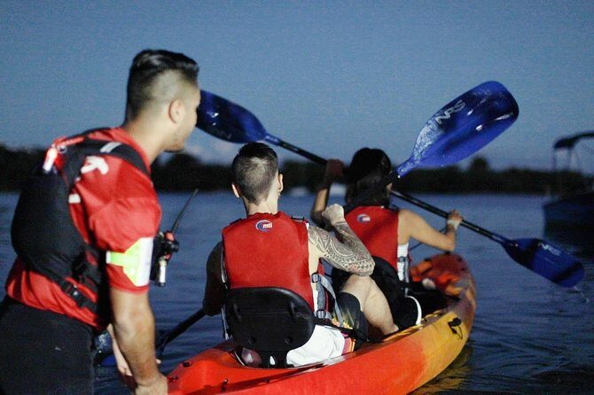 Bio Bay Kayak Tour in Fajardo - Price and Value: Is $89 for Two Hours a Smart Deal?