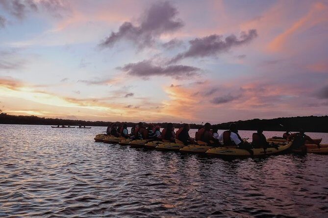 Bio Bay Kayak Tour in Fajardo - Who Should Book This, and Who Should Skip It