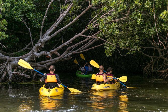 Bio Bay Night Kayak Tour with Transport from San Juan - From San Juan Pickup to Fajardo Paddle Time: The Timing That Changes Everything
