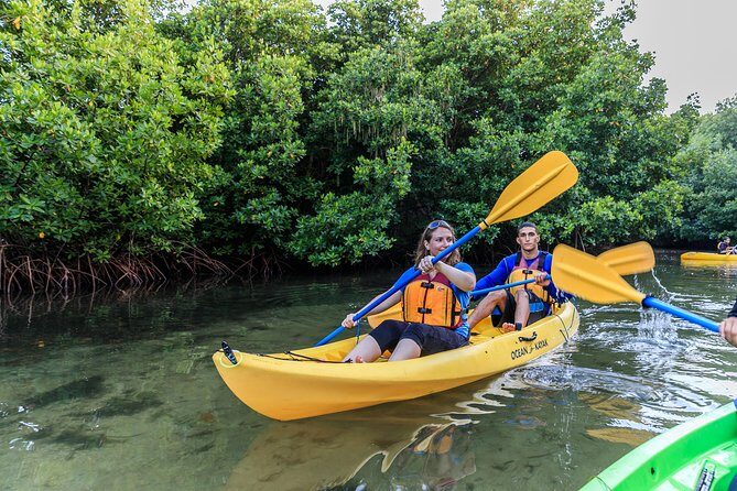 Bio Bay Night Kayaking with Transport from San Juan Area - Key things to know before you go