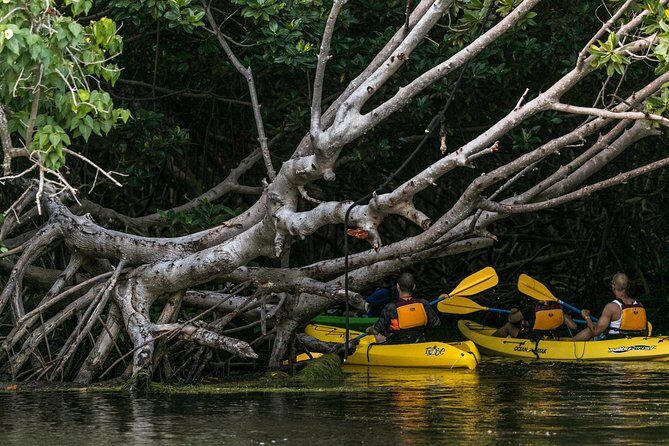 Bio Bay Night Kayaking with Transport from San Juan Area - What to pack for a biobay night in Puerto Rico