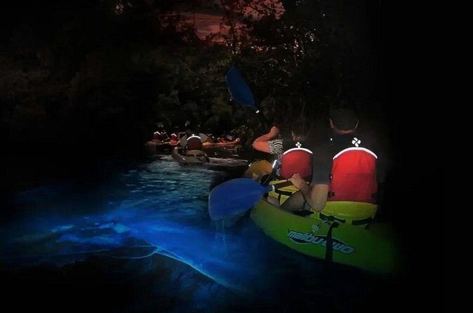 BioBay Sunset Splash-Kayaking Tour - Marine Biologist Insights: What to Listen For While It Lights Up