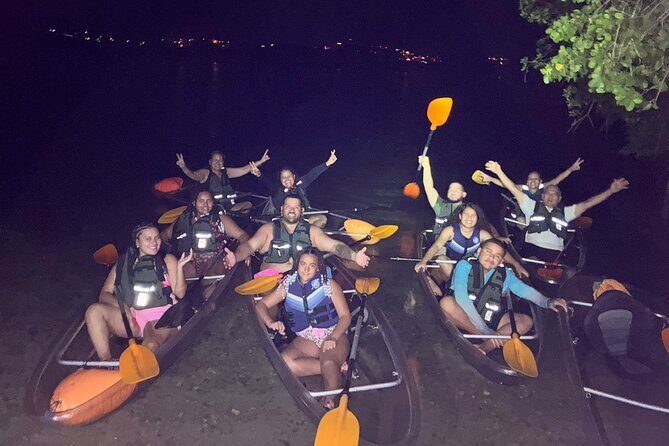 Biobay Vieques Tour Kayak Night Tour - How the Evening Works: Meeting Point and Ferry Reality Check