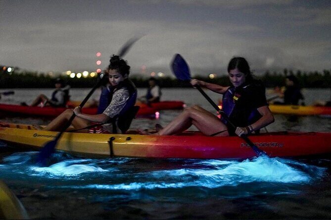 Bioluminescent Bay Kayak Tour in Fajardo Puerto Rico - Key things to know before you go