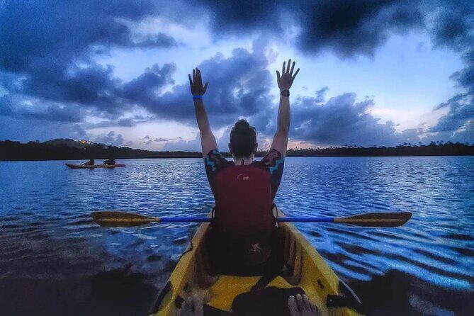 Bioluminescent Bay Kayak Tour in Fajardo Puerto Rico - Why Fajardo’s Bio-Bay Kayak Tour is a great night plan