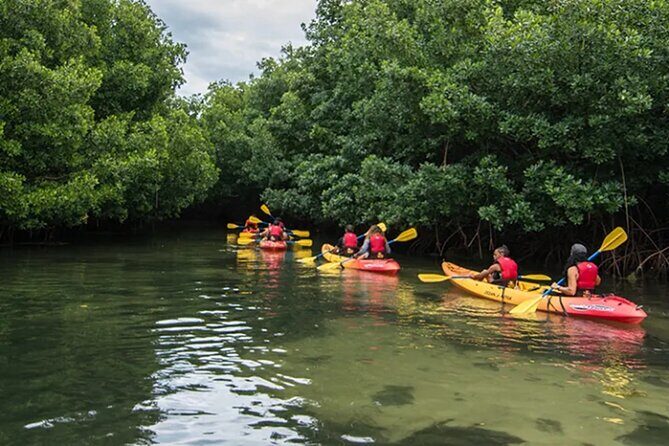 Bioluminescent Bay Kayak Tour in Fajardo Puerto Rico - Laguna Grande: where the water starts showing off