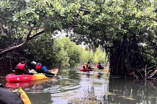 Bioluminescent Bay Kayak Tour in Fajardo Puerto Rico - The return paddle: getting back through the mangrove channel