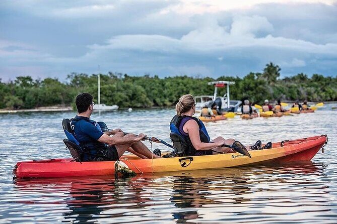 Bioluminescent Bay Kayak Tour in Fajardo Puerto Rico - Guides, gear, and small details that affect how much you enjoy it