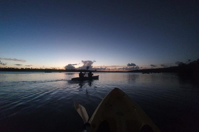 Bioluminescent Bay Night Kayaking, Fajardo - Getting the best glow: moonlight reality and tarp strategy
