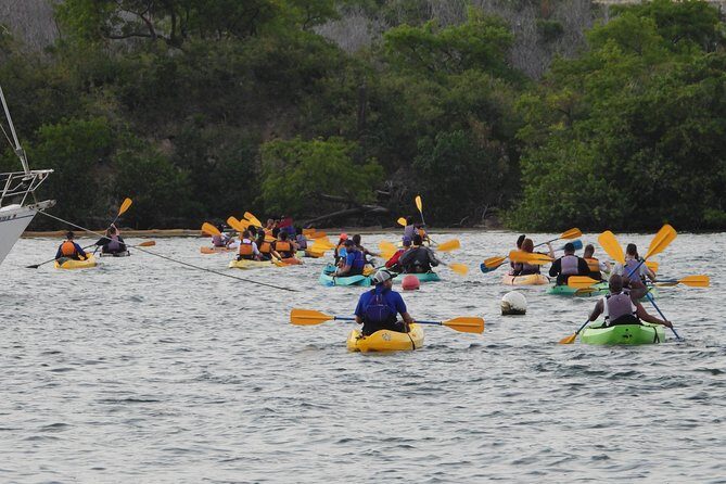 Bioluminescent Bay Night Kayaking, Fajardo - The 8:00 pm start: how the tour usually feels from check-in to push-off
