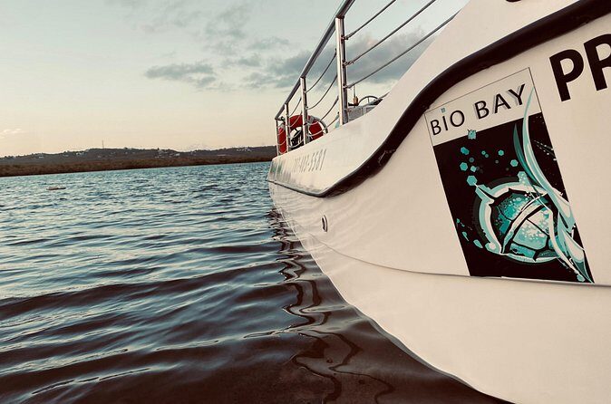Bioluminescent Boat Tour in Mosquito Bay, Vieques - Weather, rain gear, and why stars only happen sometimes