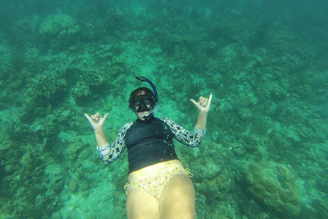 Boat Snorkeling and beach day to the Fajardo islands - What you might see under the surface: rays, turtles, and fish