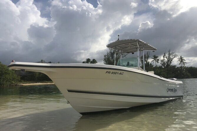 Boat trip in palomino /icacos /fajardo Puerto Rico - Key things to know
