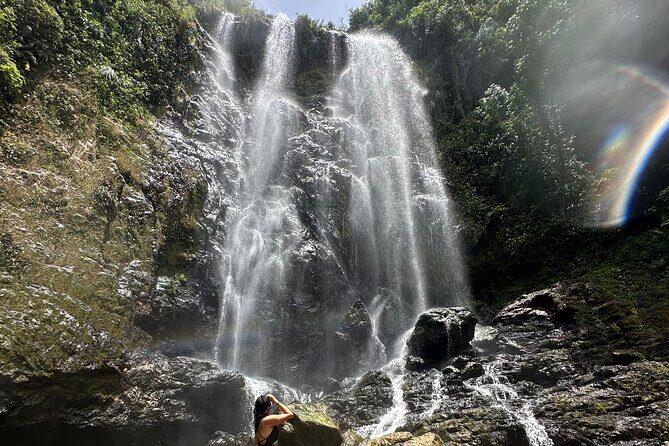 Chase Waterfalls - Discover a hidden 180ft rainforest gem - Who should book this Chase Waterfalls hike?
