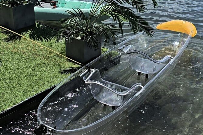 Clear LED Kayaking in Condado Lagoon - Weather, Timing, and When the Tour Might Change