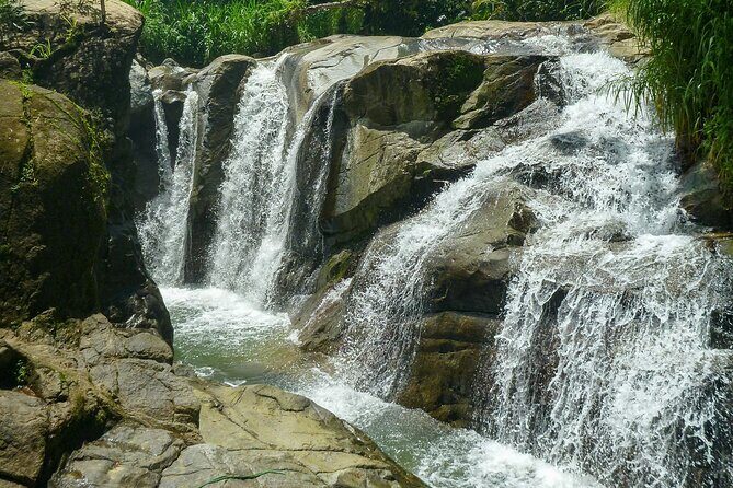 Coffee Plantation and River with Waterfalls in Puerto Rico - Price and value: what $120 really buys you