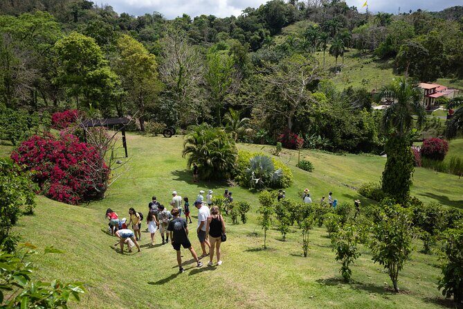 Coffee Plantation and River with Waterfalls in Puerto Rico - Stop 1 at Hacienda Muñoz: coffee, breakfast, and the first taste of the island