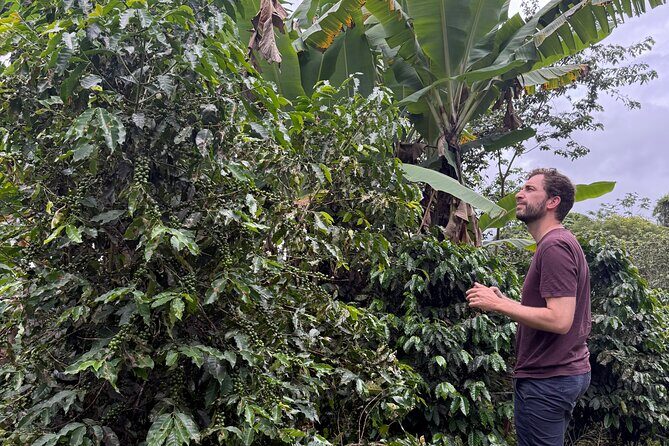 Coffee & Waterfalls Tour: from the mountains to the cup - Cascada Las Delicias: accessible forest beauty and a natural swimming pool