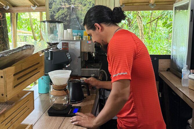 Coffee & Waterfalls Tour: from the mountains to the cup - Toro Negro State Forest: rainforest time without the exhausting hike