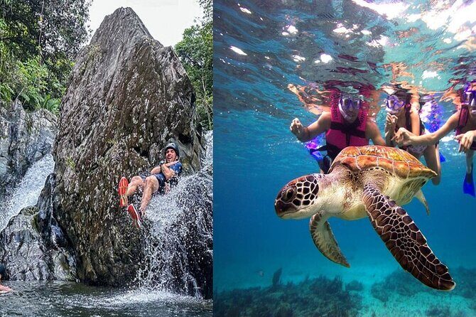 Combo El Yunque Rainforest and San Juan Snorkeling with Transport - Key Highlights You’ll Actually Feel