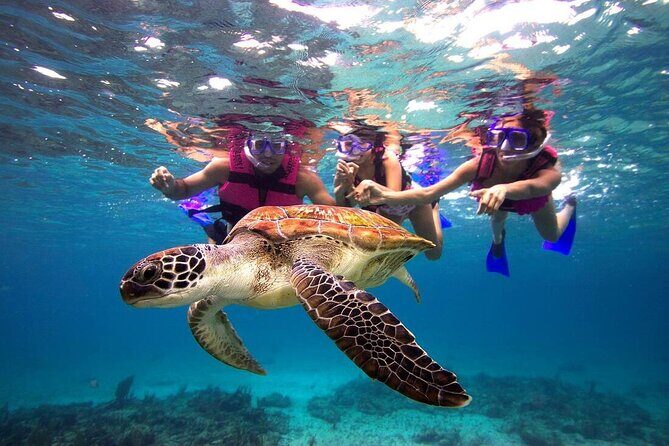Combo El Yunque Rainforest and San Juan Snorkeling with Transport - What to Wear and Bring for a Muddy Hike and a Wet Snorkel