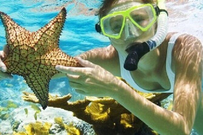 Combo El Yunque Rainforest and San Juan Snorkeling with Transport - Getting to the Snorkel: Balneario El Escambron and a Shore-Start System