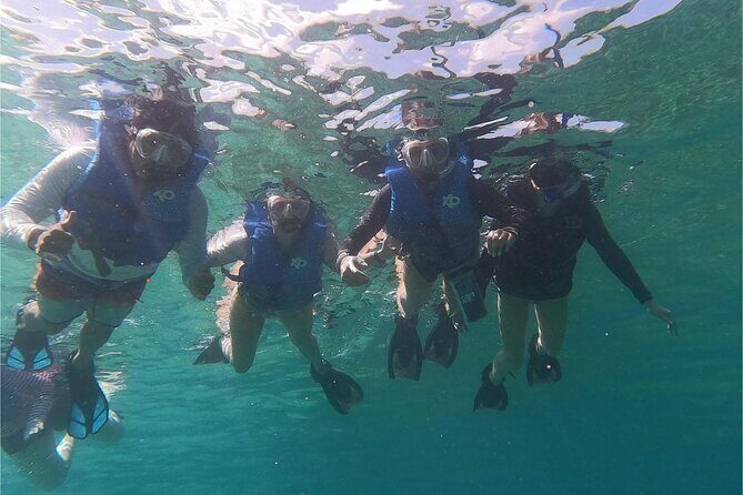 Coral Reef and Sea Turtle Snorkeling Experience - Key Highlights You’ll Care About