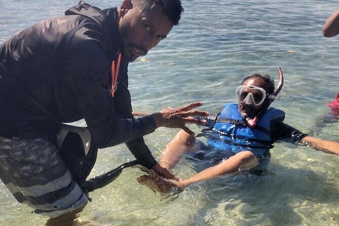 Coral Reef and Sea Turtle Snorkeling Experience - Gear and a Licensed Guide: The Comfort Safety Combo
