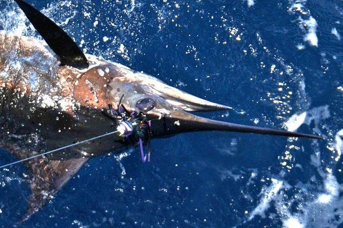 Deep Sea Fishing Private Boat Charter in San Juan - What to Bring (So You Don’t Lose Time Fixing It Onboard)