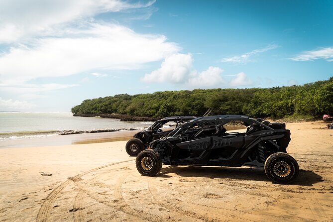 Discover Puerto Rico Like a Local 4 Hour Private Beach Escape - Quick take: what makes this beach escape click