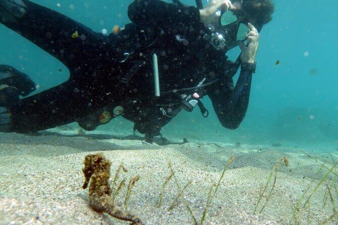 Discover Scuba Diving in San Juan - The 2-hour plan: what happens before, during, and after