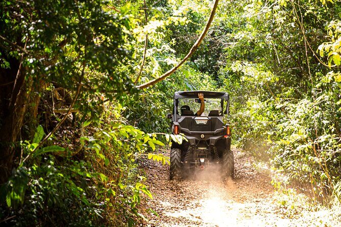 Dos Mares and Rainforest UTV Adventure Tour in Fajardo - Price and Value: Why $194 Per Group Can Be a Good Deal