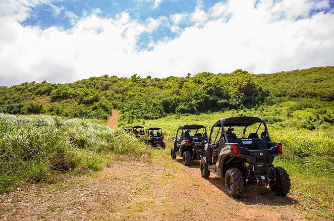 Dos Mares and Rainforest UTV Adventure Tour in Fajardo - What to Expect Day-Of: Timing, Weather, and Getting to the Spot