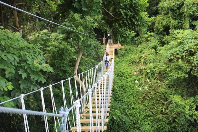 El Yunque Adventure Trail - Quick hits: what makes this tour fun and practical