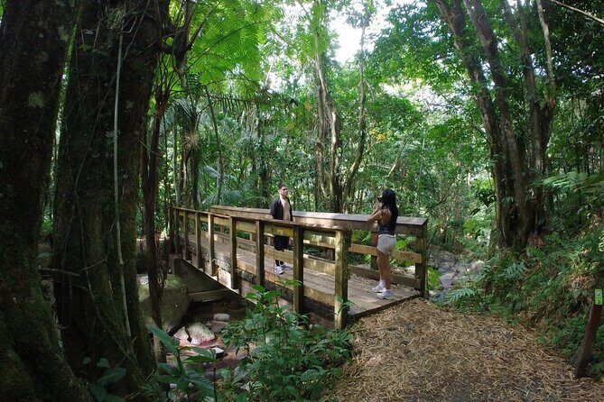 El Yunque Beach Jetski + Rainforest Hike Adventure Tour - The Rio Grande jet ski: adrenaline with real scenery