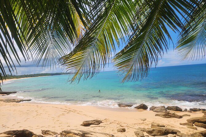 El Yunque & Beach Tour: Waterslide, Waterfall, Food, & Photos - Key Highlights You’ll Actually Care About