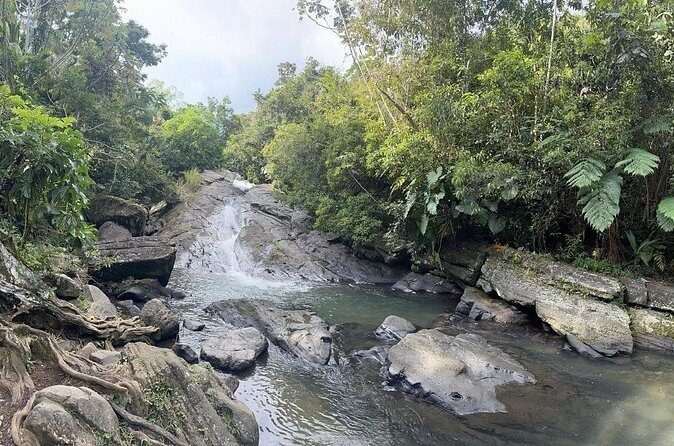 El Yunque & Beach Tour: Waterslide, Waterfall, Food, & Photos - What You Eat in the Forest: Traditional Finger Food and Water