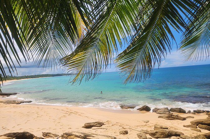 El Yunque & Beach Tour: Waterslide, Waterfall, Food, & Photos - Playa Luquillo: Beach Time With Food and an Easy Finish