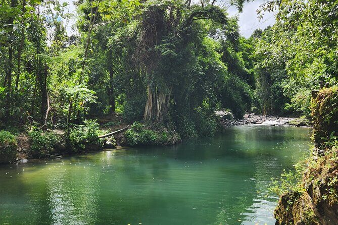 El Yunque National Rainforest and Luquillo Beach Tour - Mameyes River pools: a 15-minute walk and the weather call