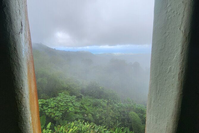 El Yunque National Rainforest and Luquillo Beach Tour - Group size, guide style, and why it matters in El Yunque