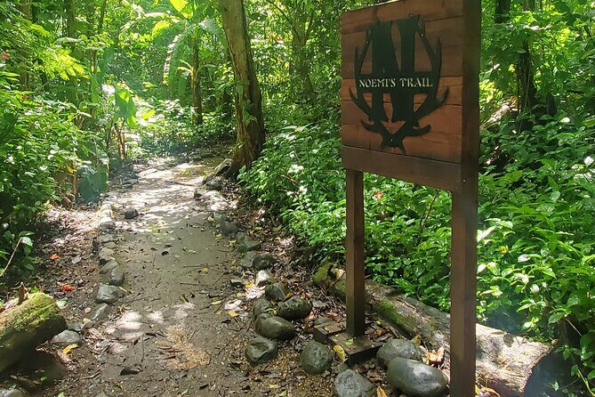 El Yunque National Rainforest and Luquillo Beach Tour - What to pack (so the day feels easy)